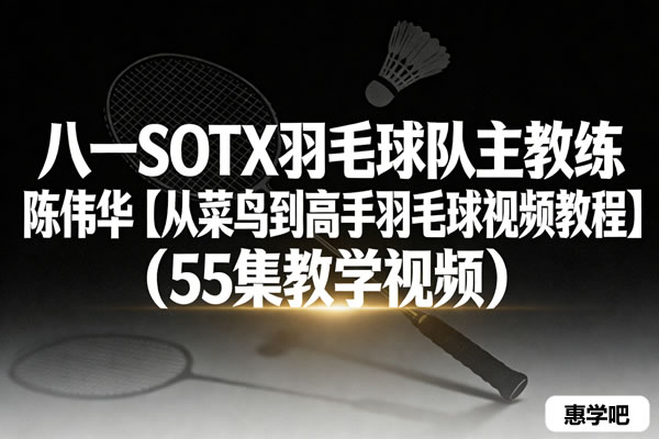 八一sotx羽毛球队主教练 陈伟华【从菜鸟到高手羽毛球视频教程】（55集下载）
